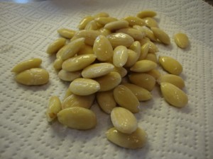 Herbed Almond Cheeze -- Epicurean Vegan